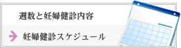 �D�w���f�X�P�W���[��