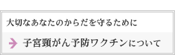 �q�{�򂪂�\�h���N�`���ɂ���